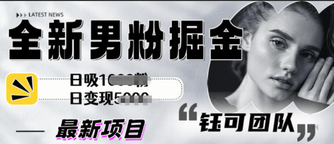 全新男粉掘金思路日吸粉100+日变现1k+-智云网创 - 网创副业项目资源站