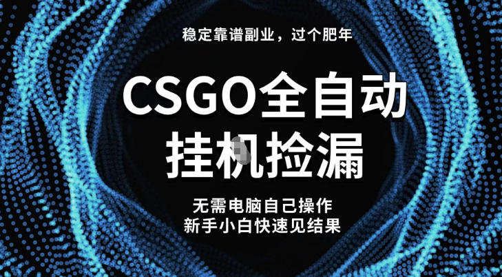 【稳定副业】全球最热门游戏CSGO全自动捡漏，最新玩法，新手小白日入5张+【揭秘】-智云网创 - 网创副业项目资源站