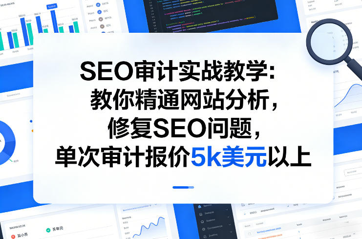 SEO审计实战教学:教你精通网站分析,修复SEO问题,单次审计报价5k美元以上-智云网创 - 网创副业项目资源站