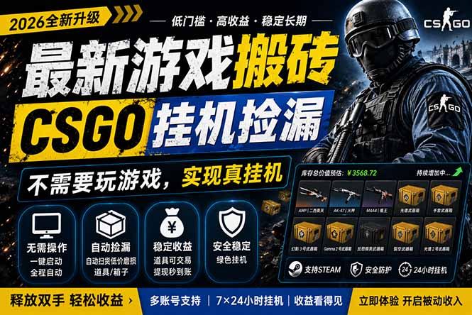 最新游戏搬砖,CSGO纯挂机,不需要玩游戏,实现真挂机,月入1W+,五一小高峰上车可吃肉,…-智云网创 - 网创副业项目资源站