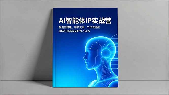 AI智能体IP实战营,智能体搭建、爆款文案、工作流构建,30天打造高成交IP月入50万-智云网创 - 网创副业项目资源站