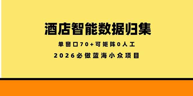（18500期）酒店智能数据归集，小众蓝海已经稳定半年之久，单窗口70+零成本矩阵开干-智云网创 - 网创副业项目资源站