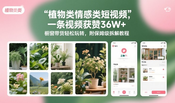 植物类情感类短视频,一条视频获赞36W+,橱窗带货轻松玩转,附保姆级拆解教程
