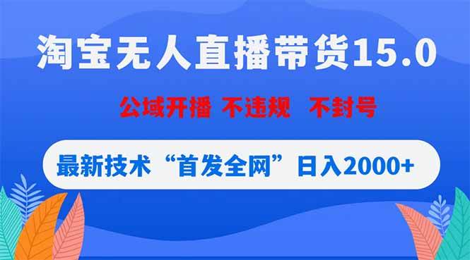 （18562期）淘宝无人直播带货15.0，不封号，不违规，公域玩法，首发全网日入2000+-智云网创 - 网创副业项目资源站