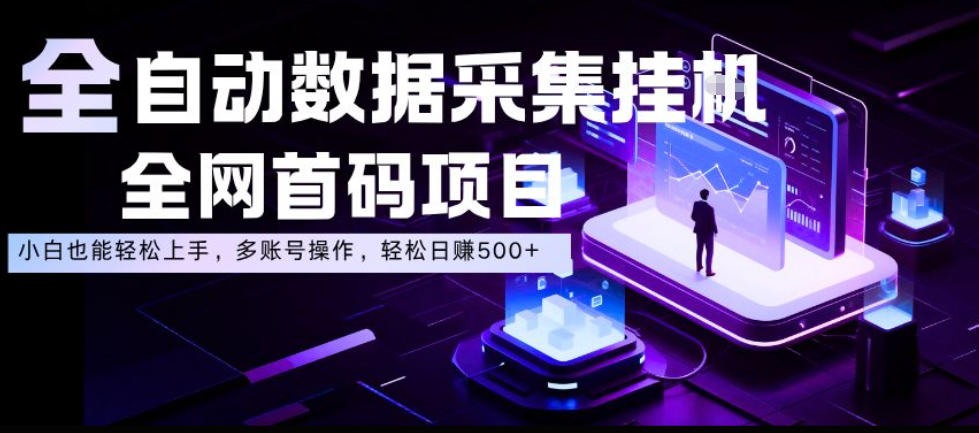 全自动数据采集挂G，全网首码项目，简单易操作，小白也能轻松上手，多账号操作，轻松日入500+【揭秘】-智云网创 - 网创副业项目资源站