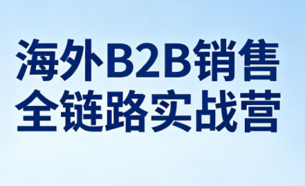 雨哥·海外B2B销售全链路实战营-智云网创 - 网创副业项目资源站