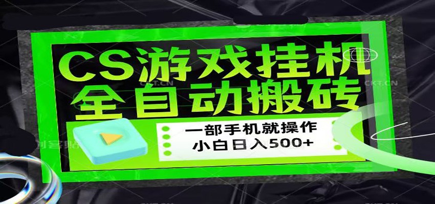 CSGO游戏挂机捡漏搬砖，超稳定的项目，带领1000+小白实现日入500+-智云网创 - 网创副业项目资源站