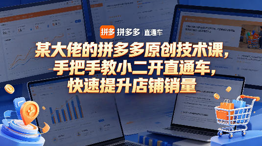 某大佬的拼多多原创技术课,手把手教小二开直通车,快速提升店铺销量-智云网创 - 网创副业项目资源站