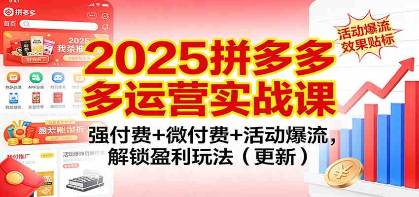 2025拼多多运营实战课:强付费+微付费+活动爆流,解锁盈利玩法(更新)-智云网创 - 网创副业项目资源站