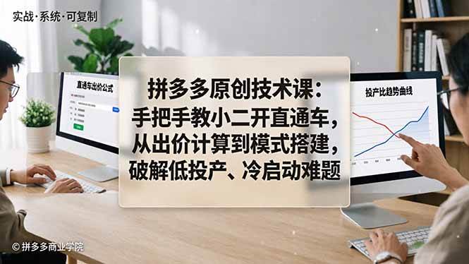 (18159期)拼多多原创技术课:手把手教小二开直通车,从出价计算到模式搭建,破解低投产、冷启动难题-智云网创 - 网创副业项目资源站