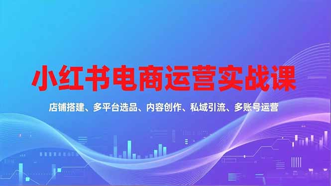 小红书电商运营实战课，店铺搭建、多平台选品、内容创作、私域引流、多账号运营等玩法-智云网创 - 网创副业项目资源站