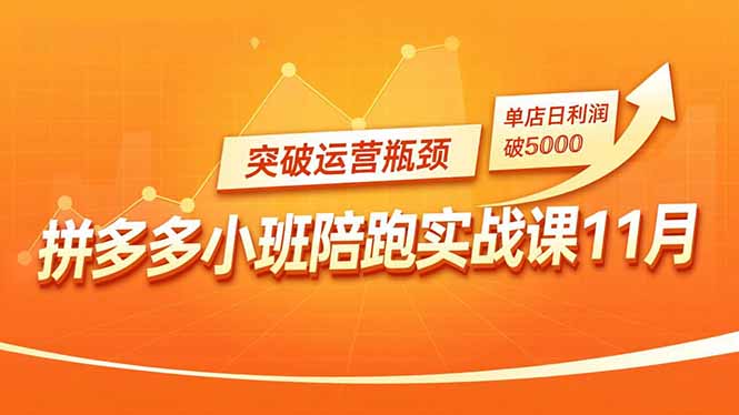 拼多多小班陪跑实战课11月,强付费矩阵、原价活动、暗券引流,突破运营瓶颈,单店日利润破5000-智云网创 - 网创副业项目资源站