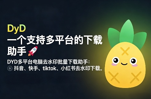 DYD多平台电脑去水印批量下载助手:抖音、快手、tiktok、小红书去水印下载-智云网创 - 网创副业项目资源站