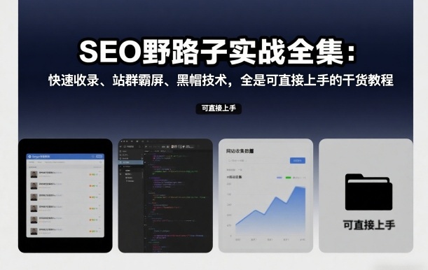 SEO野路子实战全集:快速收录、站群霸屏、黑帽技术,全是可直接上手的干货教程-智云网创 - 网创副业项目资源站
