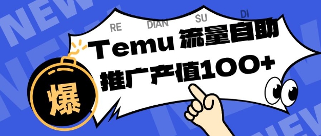 专注于Temu商家提供精准曝光浏览量，助力店铺排名提升和转化，单机日收入80-130【揭秘】-智云网创 - 网创副业项目资源站