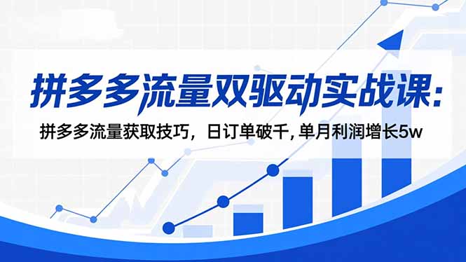 拼多多流量双驱动实战课:拼多多流量获取技巧,日订单破千,单月利润增长5w-智云网创 - 网创副业项目资源站