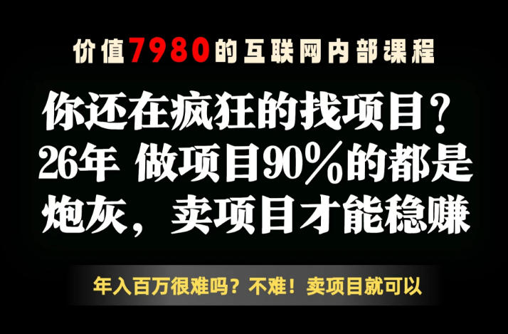 26年请不要疯狂的找项目了,卖项目远比你想象的暴利,你也可以月入10W+【揭秘】-智云网创 - 网创副业项目资源站
