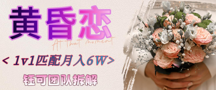 副业拆解：黄昏恋1对1匹配月入6个，潜力巨大-智云网创 - 网创副业项目资源站
