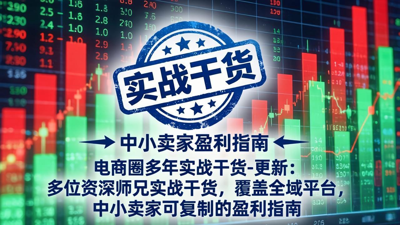 电商圈多年实战干货-更新4月27：多位资深师兄实战干货/覆盖全域平台，中小卖家可复制的盈利指南-智云网创 - 网创副业项目资源站