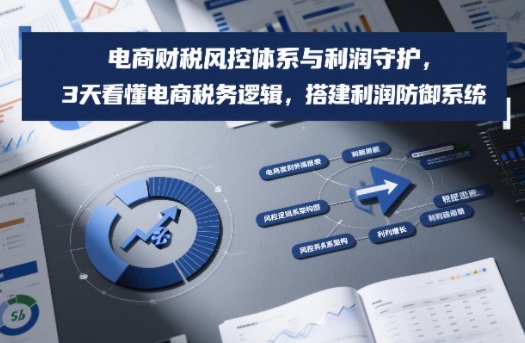 电商财税风控体系与利润守护，3天看懂电商税务逻辑，搭建利润防御系统-智云网创 - 网创副业项目资源站
