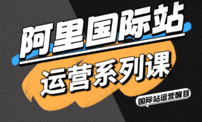 醒目老师·阿里国际站运营系列课(更新11月)-智云网创 - 网创副业项目资源站