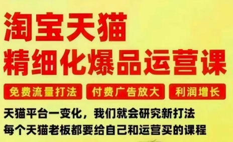 淘宝天猫精细化爆品运营课，免费流量打法-付费广告放大-利润增长-三大核心痛点，一次全部解决-智云网创 - 网创副业项目资源站
