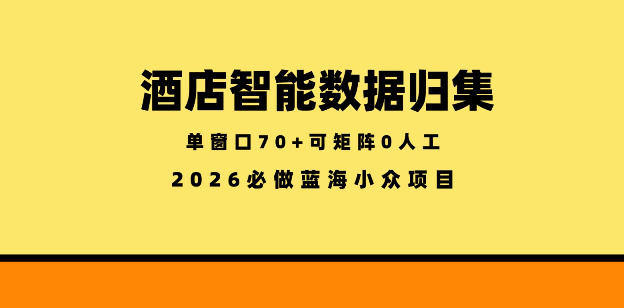 酒店智能数据归集,小众蓝海已经稳定半年之久,单窗口70+零成本矩阵开干【揭秘】-智云网创 - 网创副业项目资源站