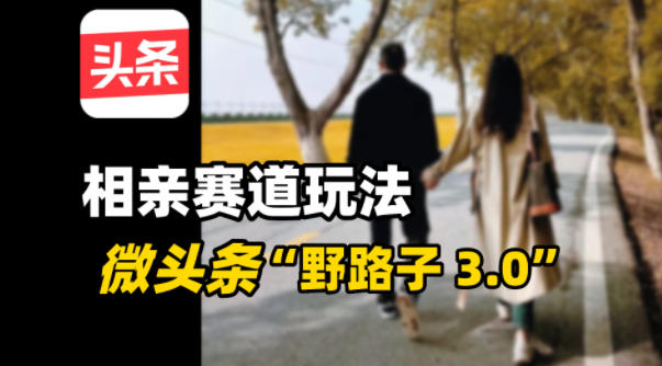 微头条“野路子3.0”相亲赛道玩法,搬砖式操作单号稳定3张-智云网创 - 网创副业项目资源站