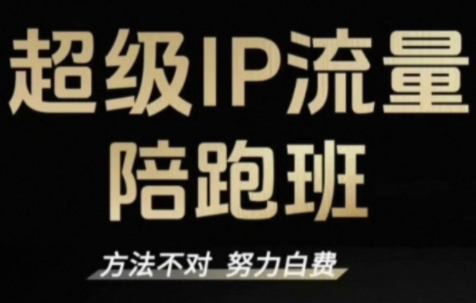 阿昱老师·超级IP流量陪跑班-智云网创 - 网创副业项目资源站