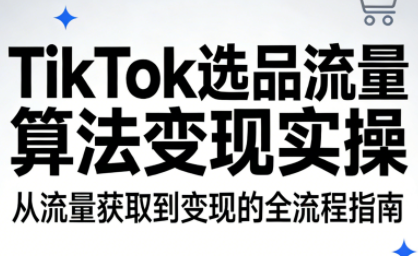 TikTok选品流量算法变现实操-智云网创 - 网创副业项目资源站