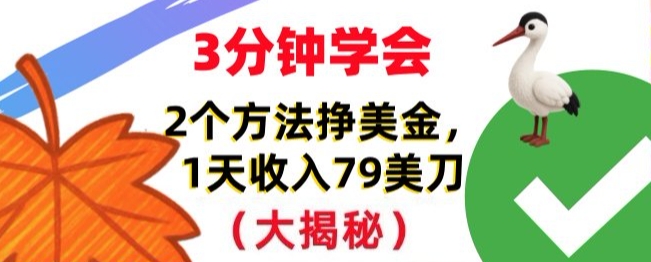 免费挣美刀的2个方法，1天收入79刀，超简单，3分钟学会-智云网创 - 网创副业项目资源站