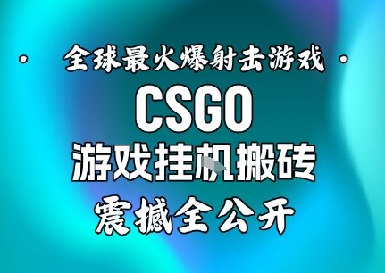 【年底大揭秘】基于全球最火爆的射击CSGO游戏挂G搬砖，日入5张+，震撼公开-智云网创 - 网创副业项目资源站