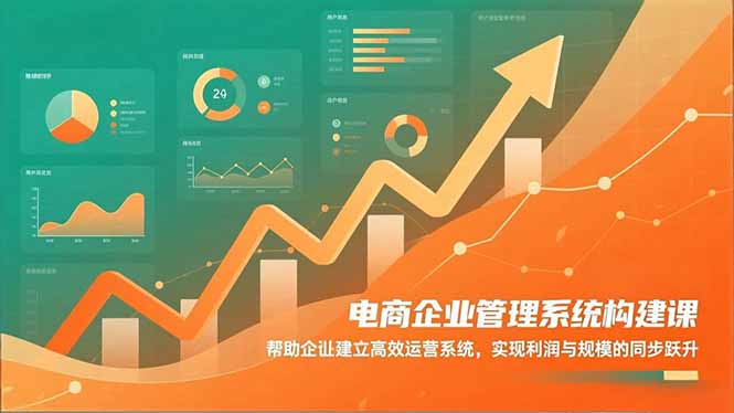 电商企业管理系统构建课：帮助企业建立高效运营系统，实现利润与规模的同步跃升-智云网创 - 网创副业项目资源站