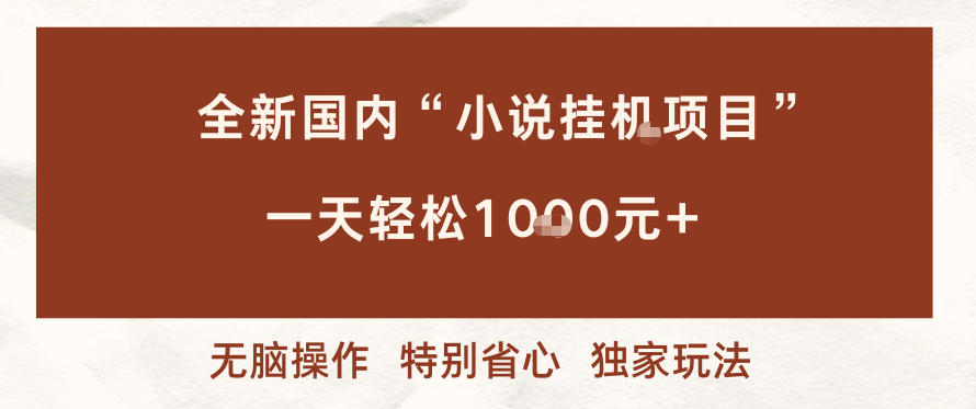 全新国内小说挂G项目，多窗口无脑跑，一天轻松1k+，特别省心【揭秘】-智云网创 - 网创副业项目资源站