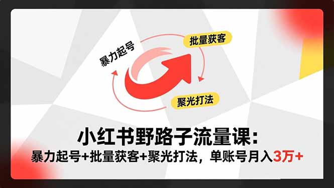 小红书野路子流量课:暴力起号+批量获客+聚光打法,单账号月入3万+-智云网创 - 网创副业项目资源站