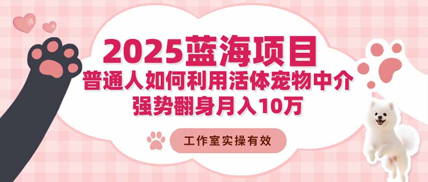 2025蓝海项目：普通人如何利用活体宠物中介，强势翻身月入10万-智云网创 - 网创副业项目资源站