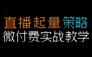 半野老师·直播带货起量与微付费必学课视频号-智云网创 - 网创副业项目资源站