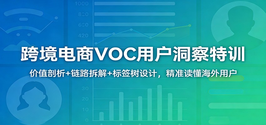 跨境电商VOC用户洞察特训：价值剖析+链路拆解+标签树设计，精准读懂海外用户-智云网创 - 网创副业项目资源站